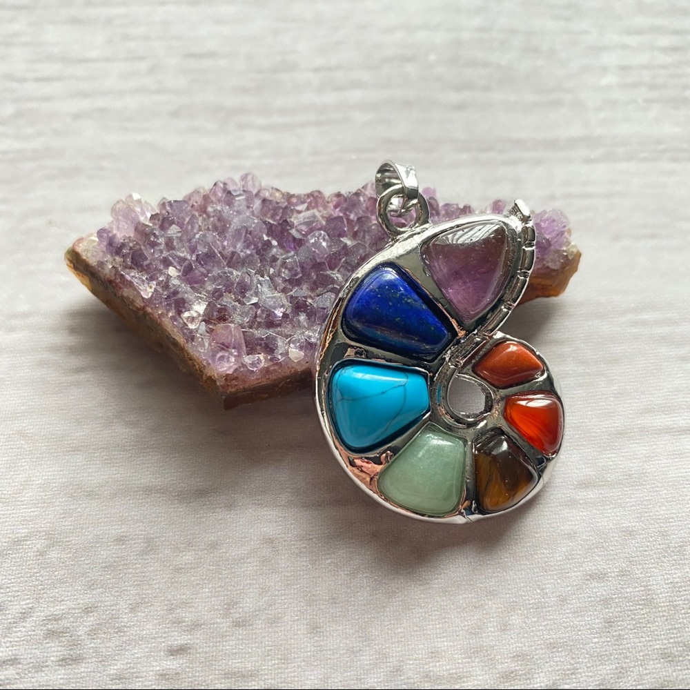 7 Chakra Crystal Ammonite Pendant
